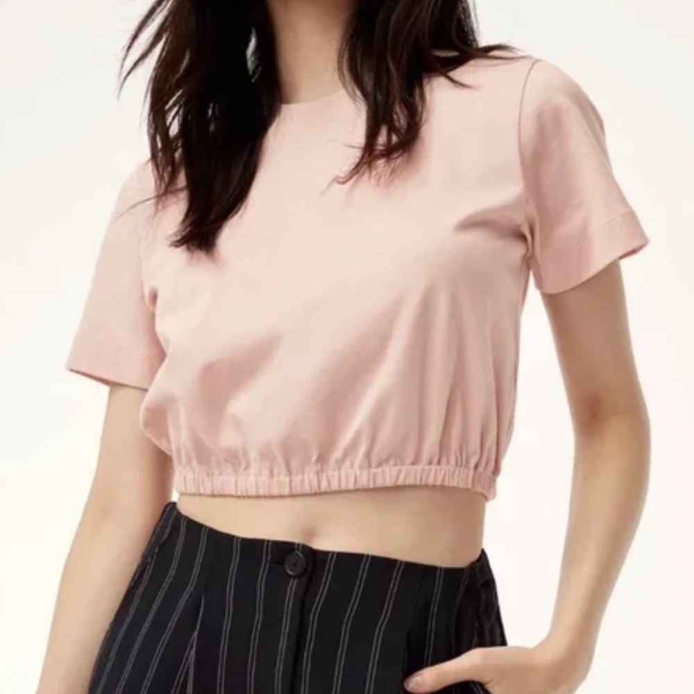 WILFRED - Piaf Crop T